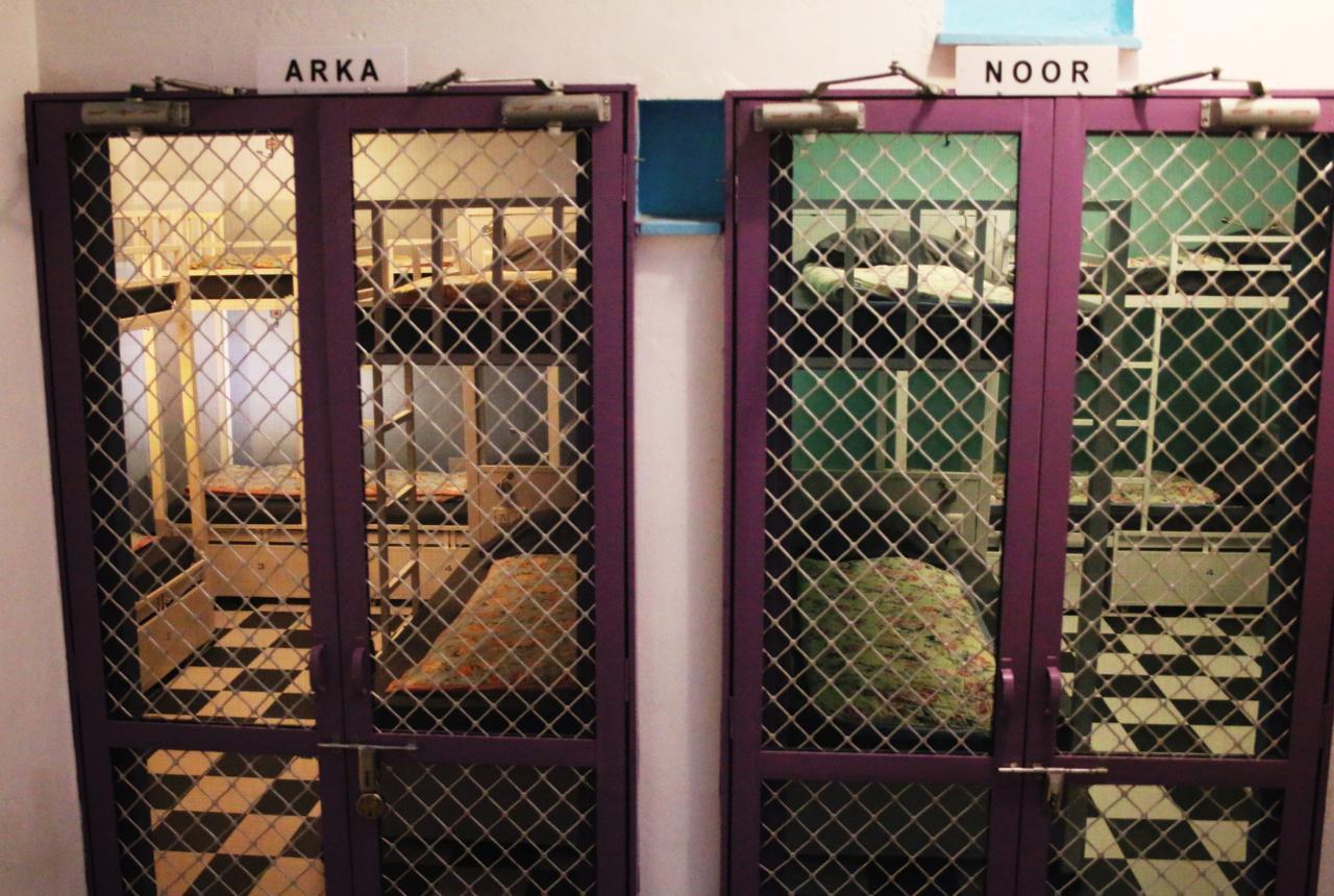 Gypsy Child Lake Hostel ウダイプル エクステリア 写真